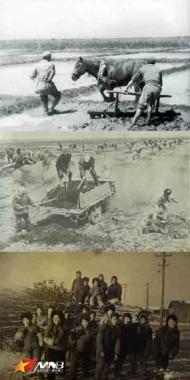 兵团人口变迁_调查兵团