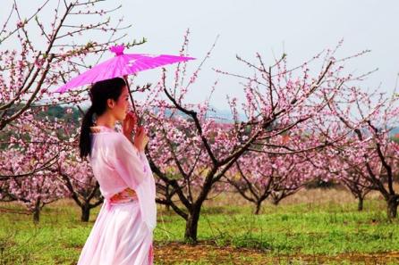 关于形容桃花诗句